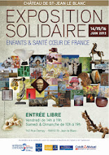 EXPOSITION SOLIDAIRE AU CHATEAU DE SAINT JEAN LE BLANC