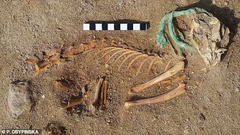 Remains of cat at world's first pet cemetry in Egypt