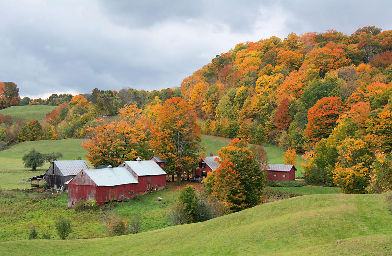 Carol's View Of New England Jenne Farm Reading Vermont