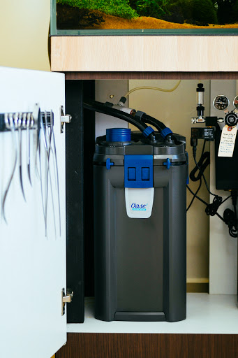 Oase BioMaster² 600 – Filtro Esterno Per Acquario Con Modulo Prefiltro EasyClean, Alto Flusso, Hel X, Per Acqua Cristallina