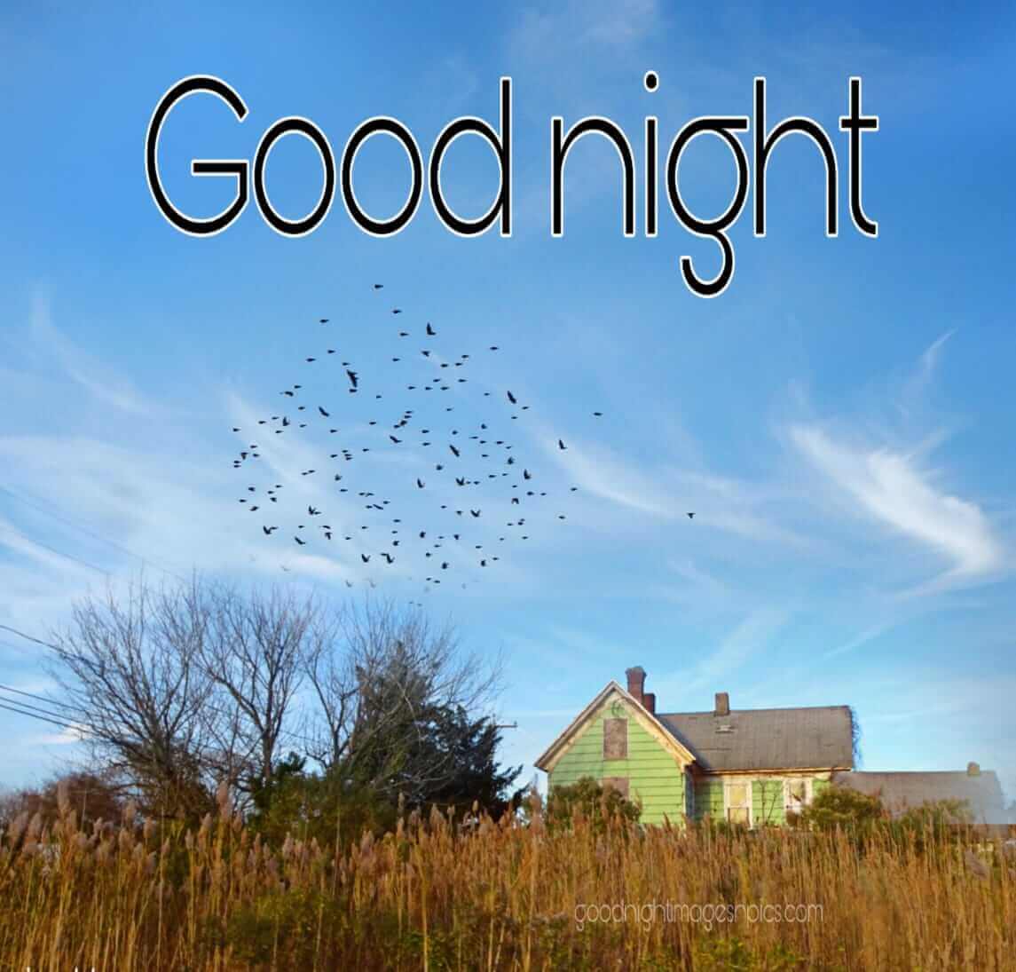 Cute Good Night Images Cute Good Night Images