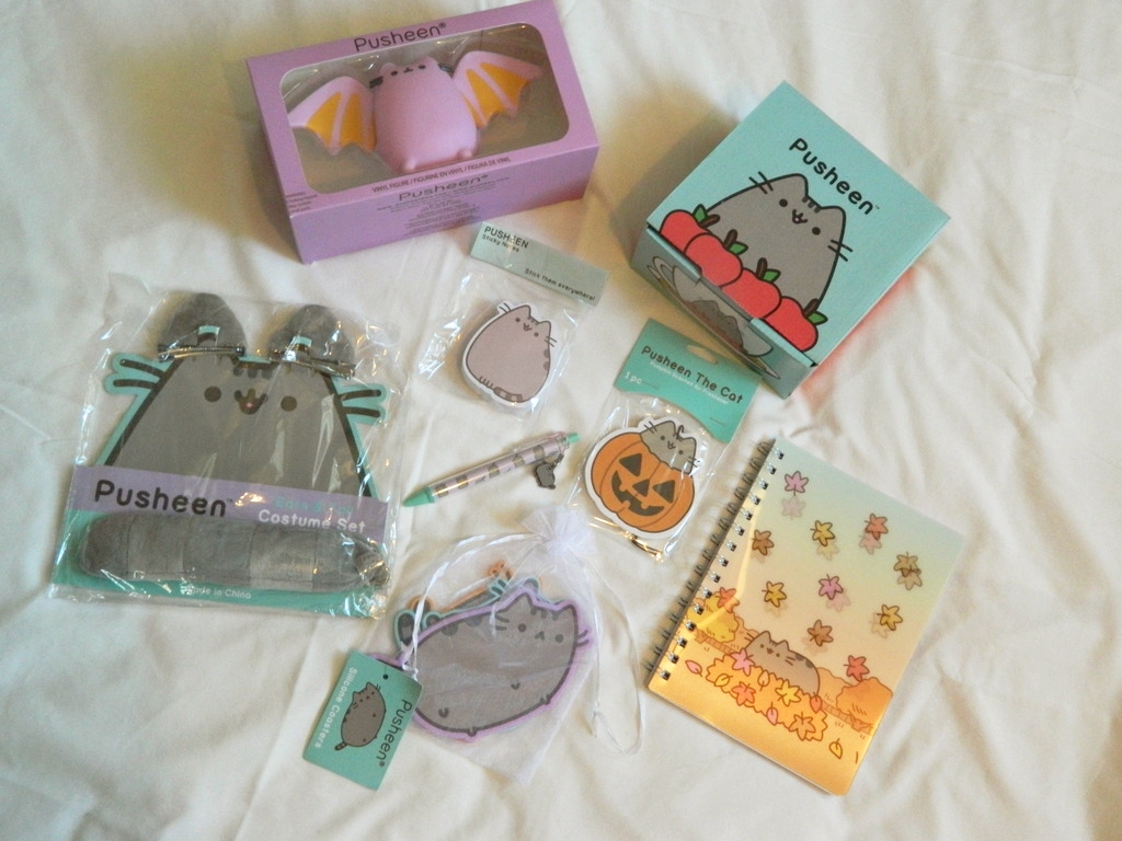 Pusheen Box Autumn Edition Review Raiin Monkey