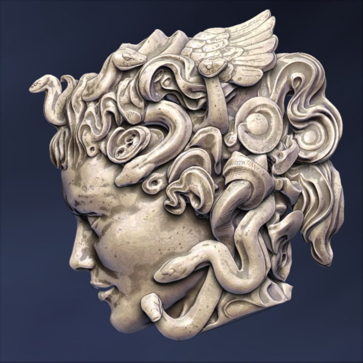 Medusa head. Медуза горгона. Медуза лоренцо бернини. Medusa head. Medusa head.