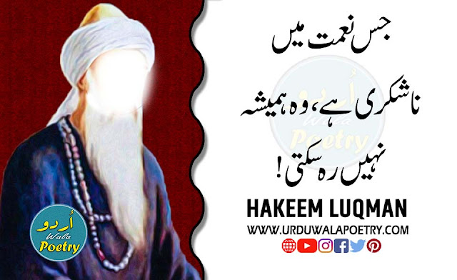 Hakeem-luqman-Quotes-Urdu