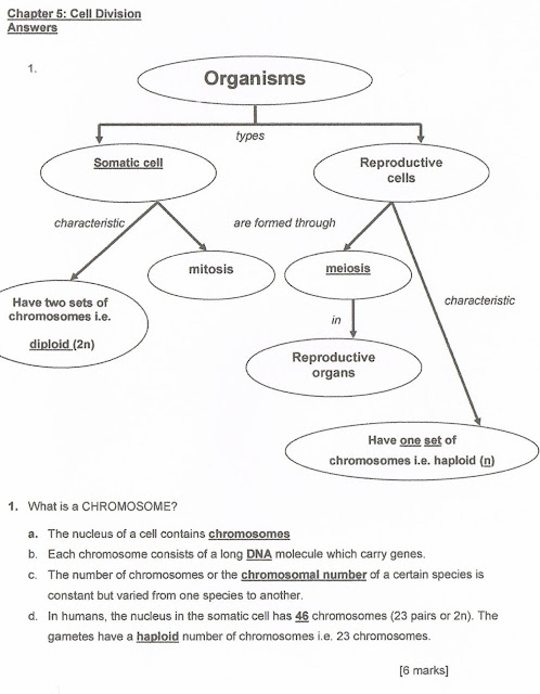 BIOLOGY: Form 4: Chapter 5 Module's answer