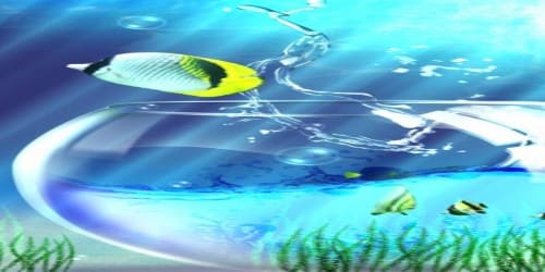 تحميل افضل برنامج خلفيات hd للصور في العالم للاندرويد 2020 wallpaper