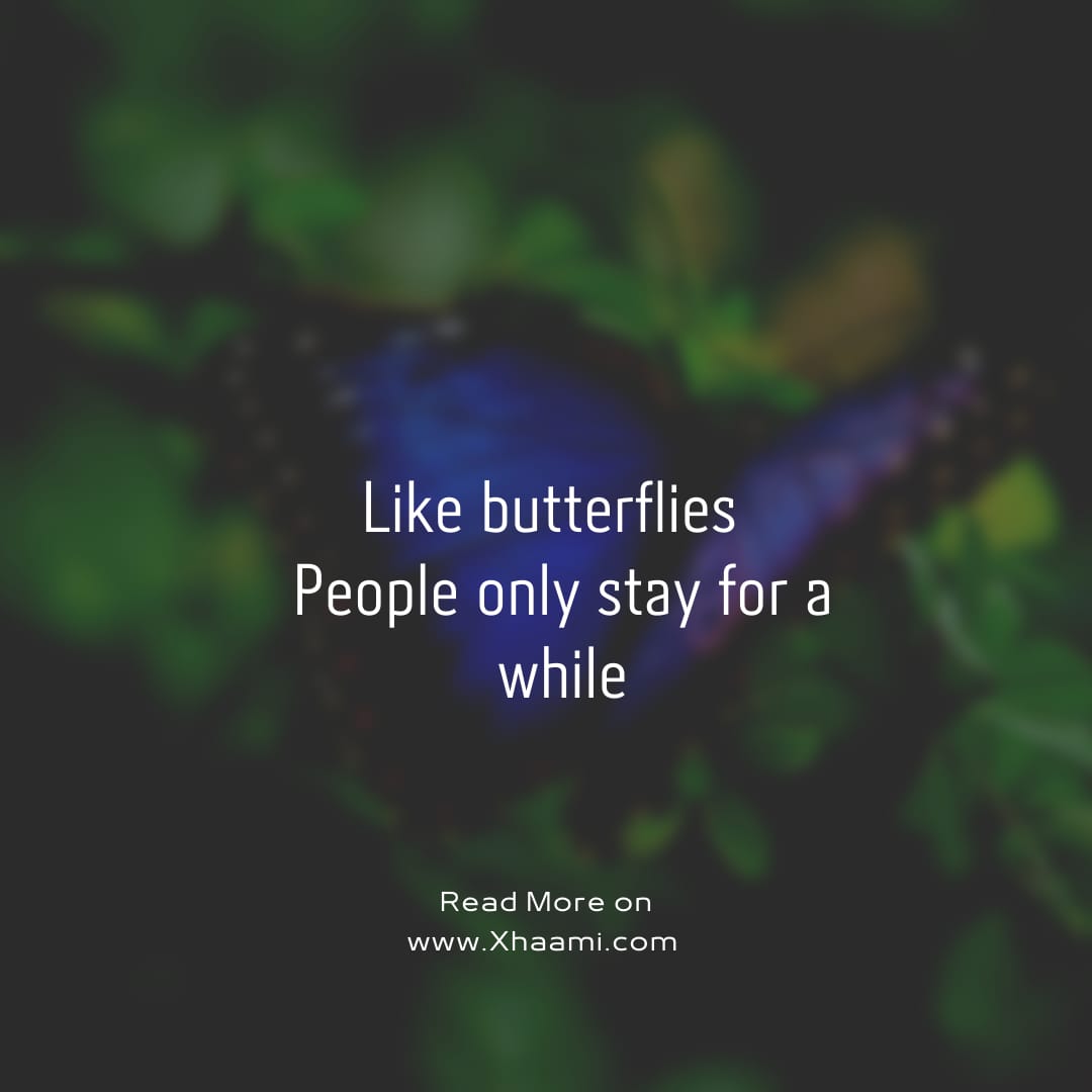 Like butterflies people only stay for a while Quote