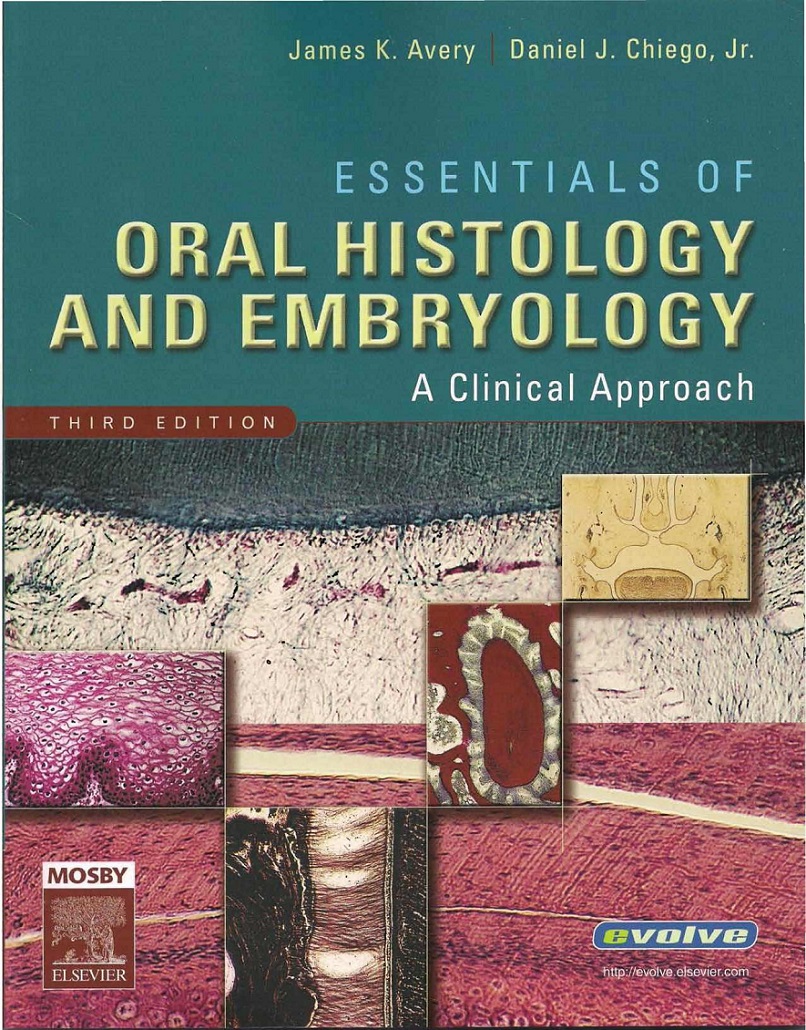 Edition embryo human issue issue paperback research series series 04 picture