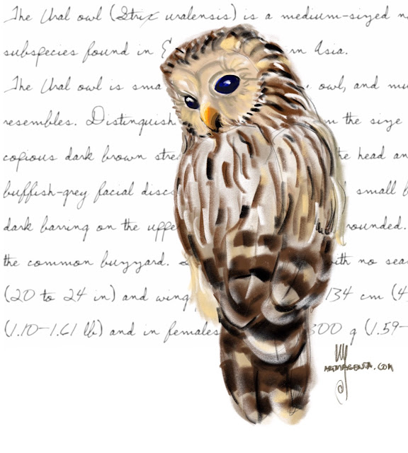 Ural owl bird painting by Ulf Artmagenta