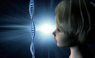DNA:  Pengertian, Konsep, Struktur, Cara Kerja, Konsep Genetika, dan Proses Mutase