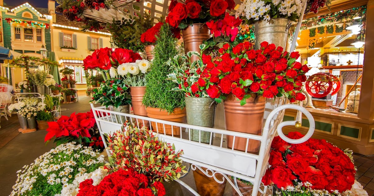 Disney Photoblography