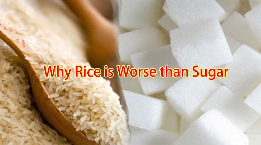 A Romantic Shop Why Rice is Worse Than Sugar! Scary!!