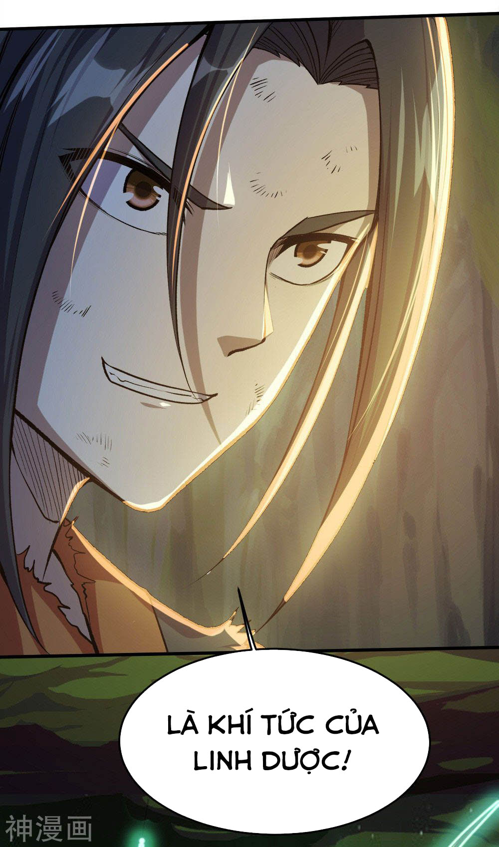 Cái Thế Đế Tôn chapter 41 - Trang 13