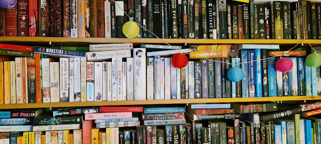 Bookshelves The Writing Greyhound