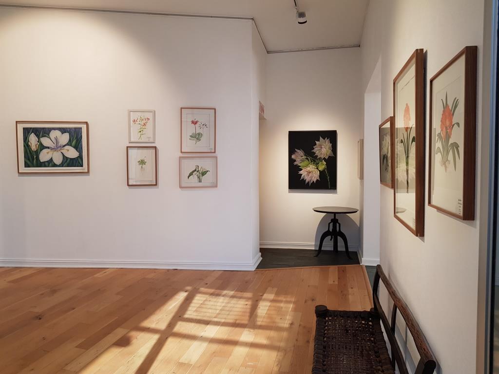 Botanical Artists Association of Southern Africa Botanical Art Worldwide Opening Thursday!