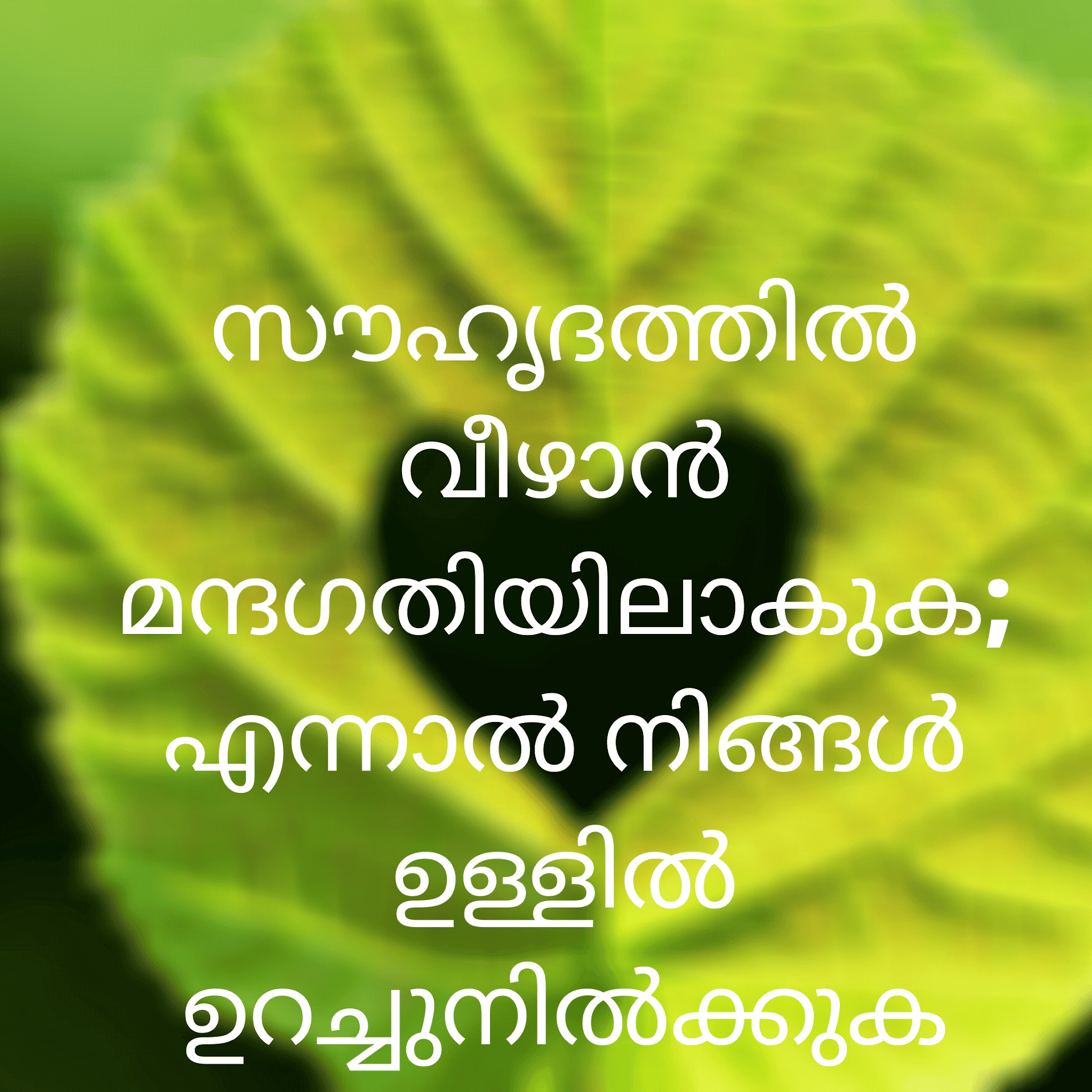 Friendship Quotes In Malayalam 100+ Quotes With Image സൗഹൃദ ഉദ്ധരണികൾ