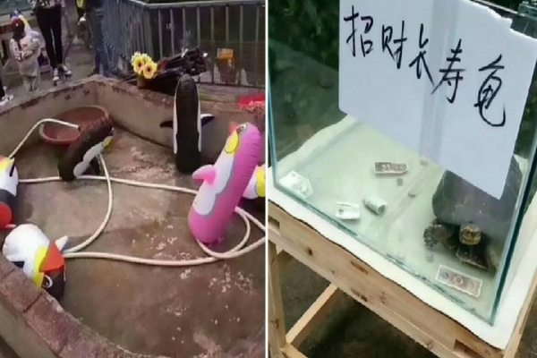 Meskipun Tempatnya Meskipun Tempatnya