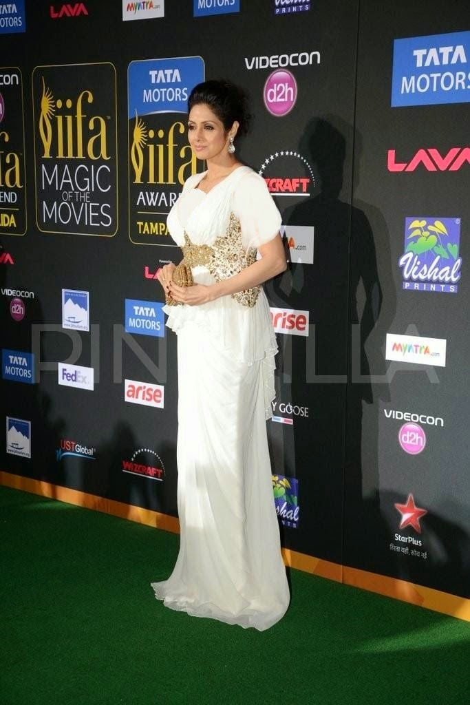 Indian Celebrities At Magic IIFA Movies Awards 2014 Collection