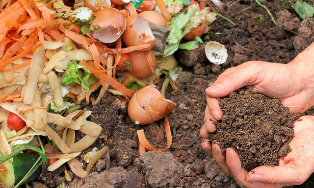 Complete Biodegradable Waste Management Guide