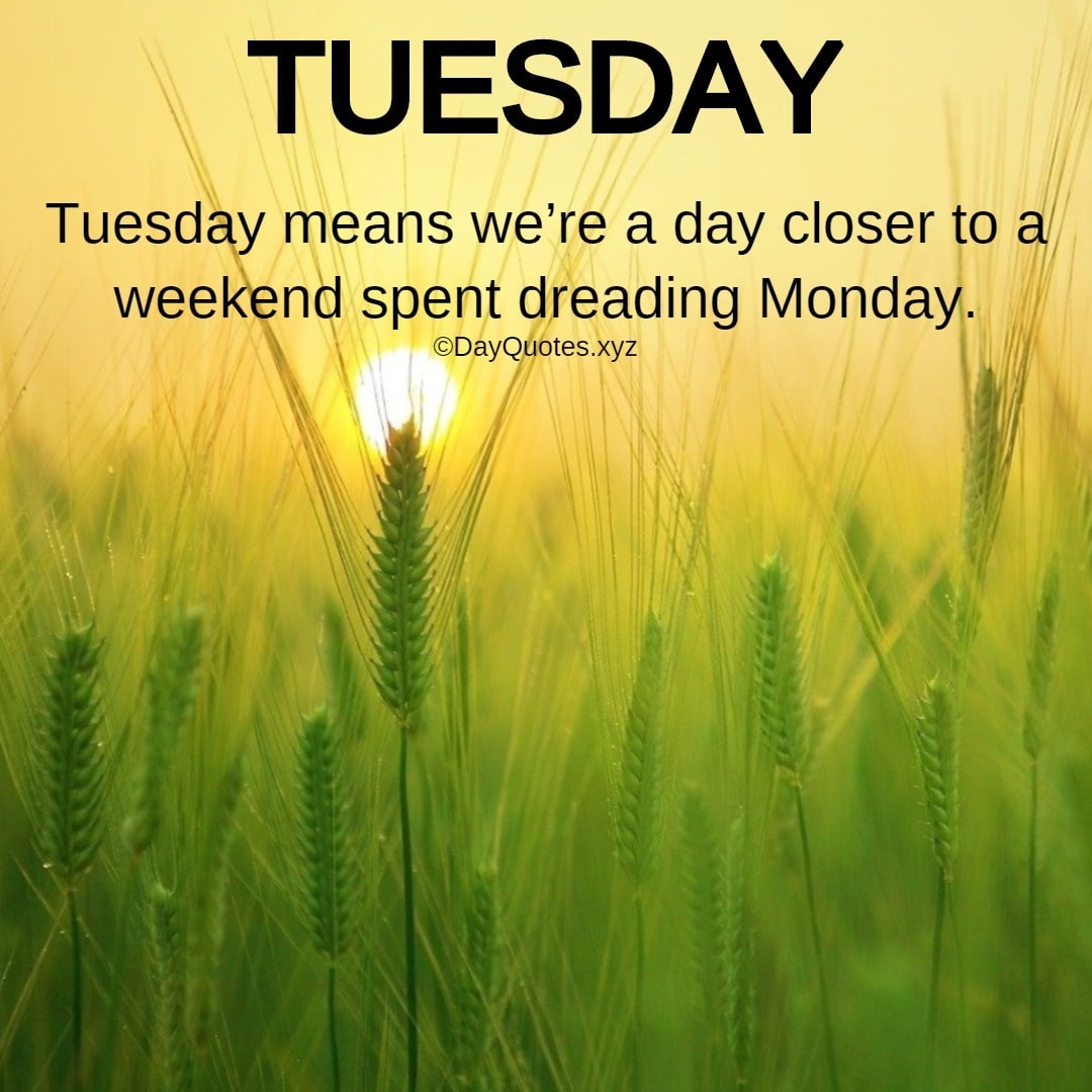 Tuesday Morning