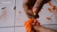 kankambaram-flower-tying-1ds.png