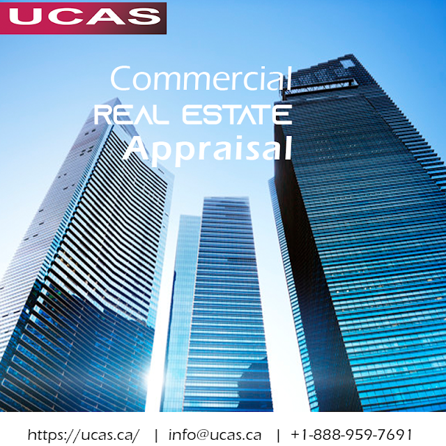 The Commercial Real Estate Appraiser