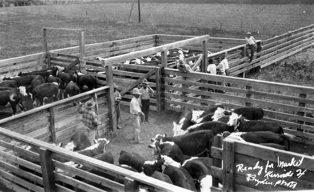 Joe Herring Jr. Cattle Pens, Schreiner Street, Kerrville