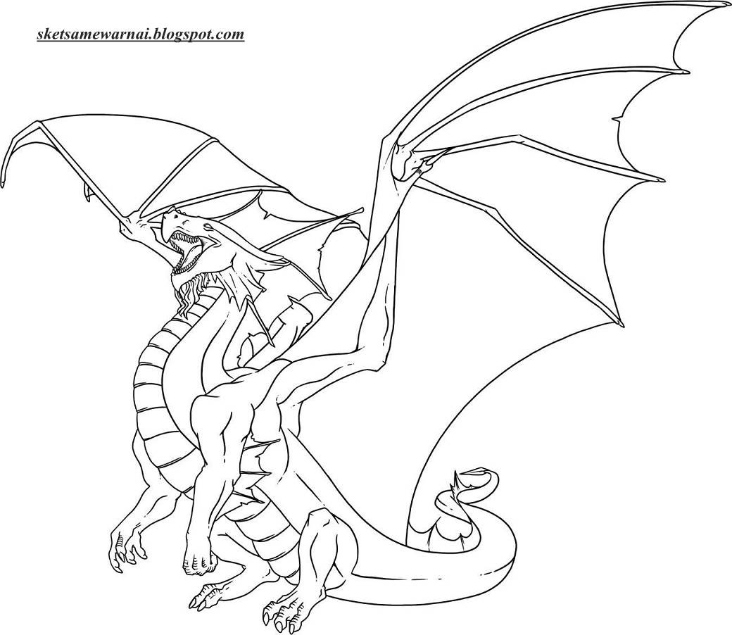 Sketsa Mewarnai Gambar Hewan Naga Api Sketsa Mewarnai