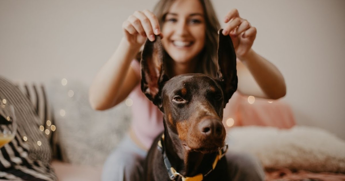 Are Dobermans Good with Kids?