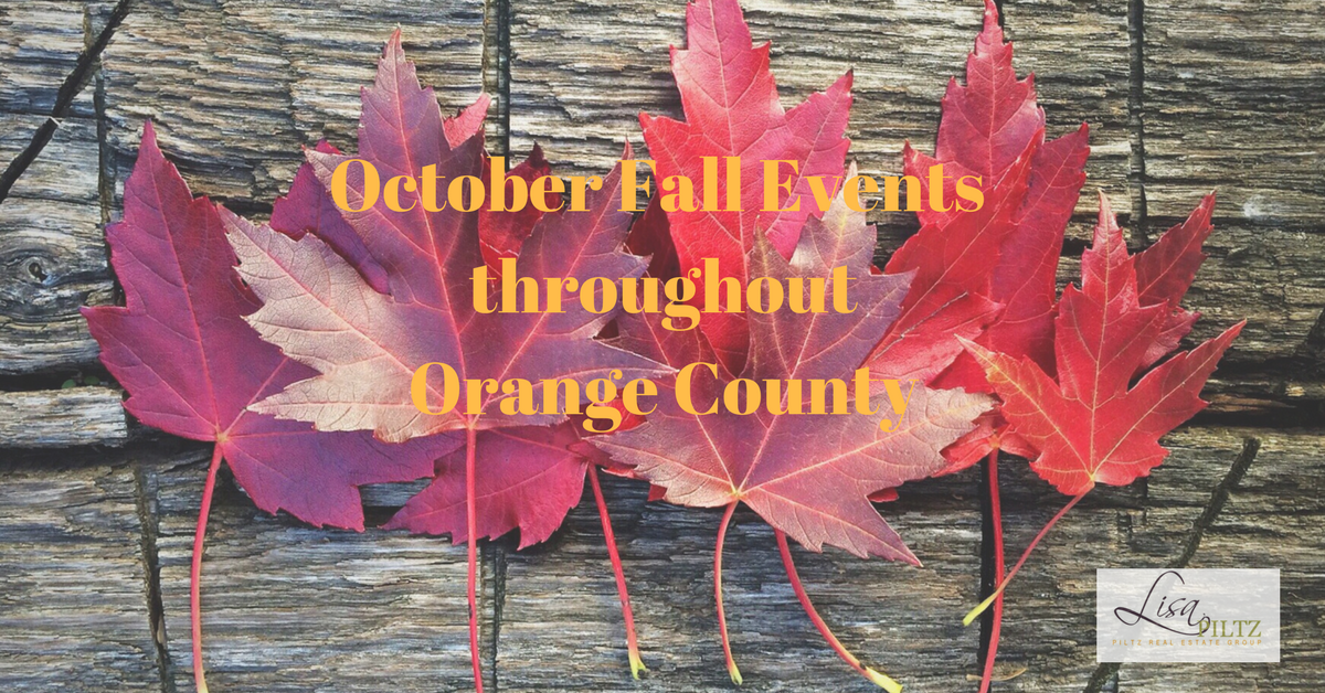 Ben Aquila S Blog P Nk Called A Lesbian In Twitter Attack After