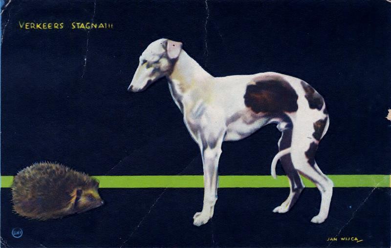 Whippet History References