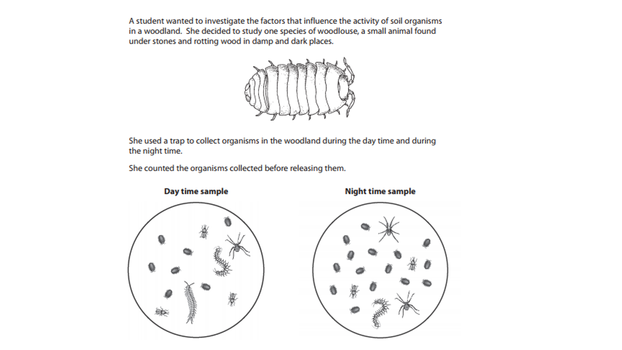 Grade 10: ENRICHMENT LESSON WEEK 1