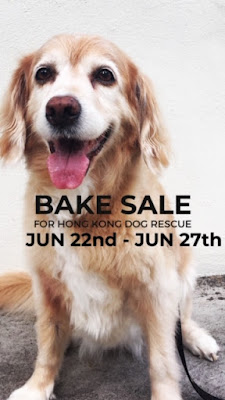 big bones dog rescue