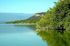Laguna de Cabral: Patromonio Natural