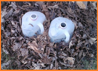 plastic milk jugs surrounded by dry leaves