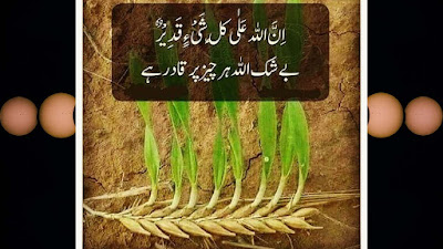 Allah Quotes in Urdu