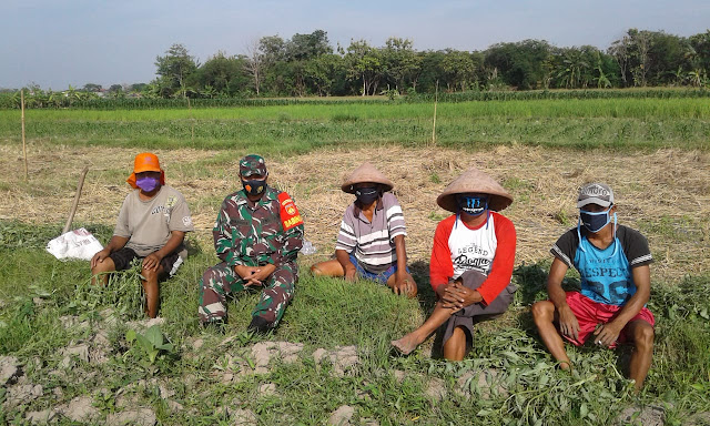 Babinsa Koramil Ceper Motivasi Petani Untuk Tingkatkan Pertanian