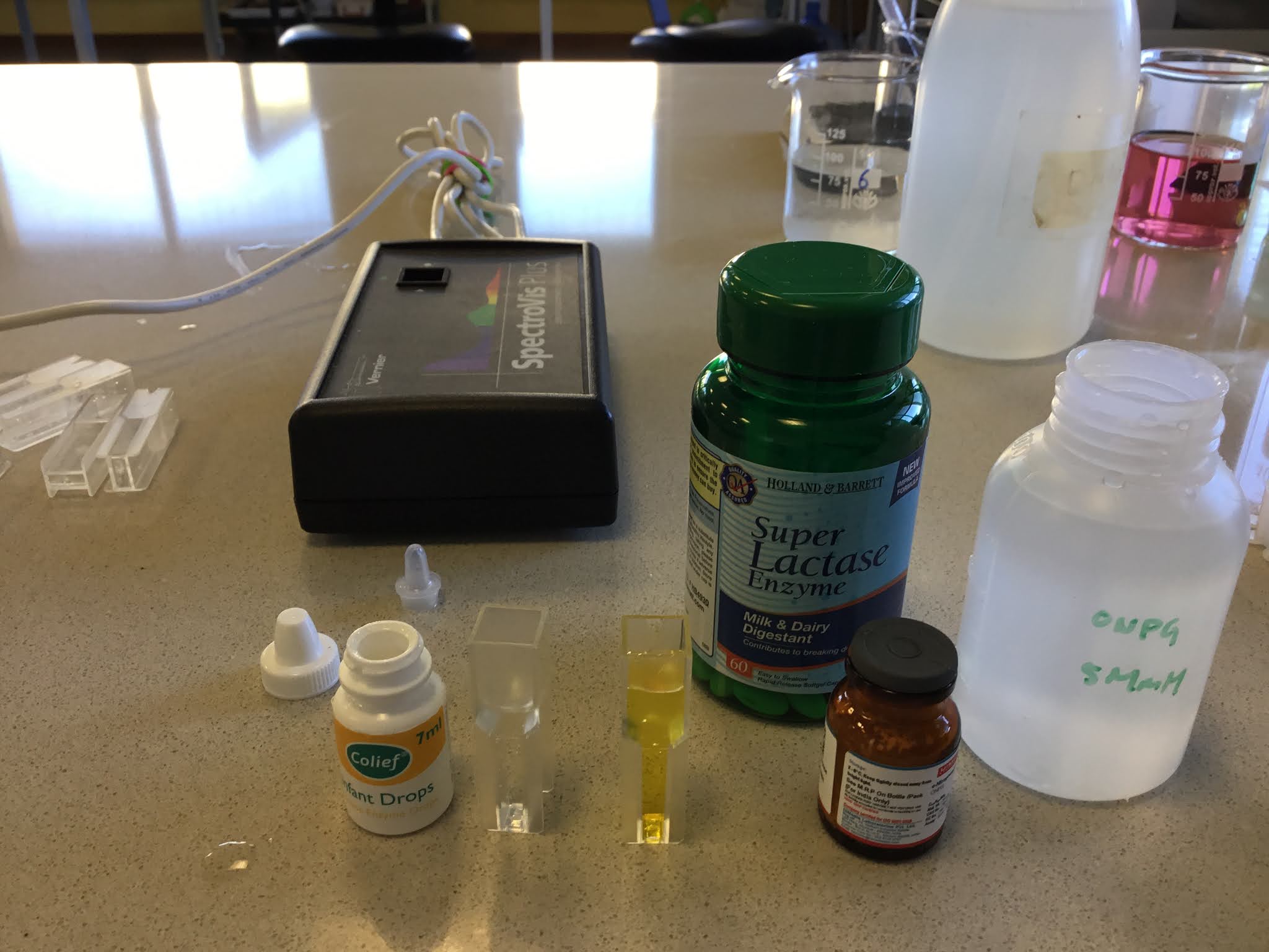 IA on effect of pH on the rate of hydrolysis of lactose (ONPG) by