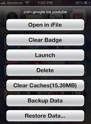 Icon Tool: Quickly Backup And Restore App Data, Clear Caches And More