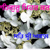 Top 10 SAT SHRI AKAL JI GOOD MORNING Images greeting Pictures, Photos for Whatsapp