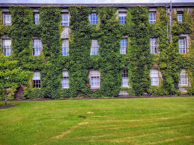 Best Dublin Walks: Ivy covered building at Maynooth University