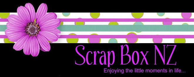 Scrap Box NZ