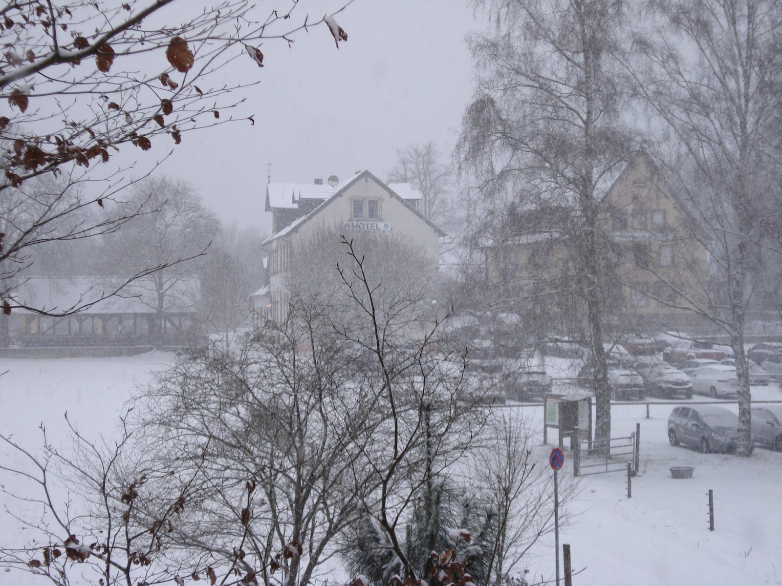 Kaiserslautern Pfalz Bilder Und Anderes Verdauungsspaziergang