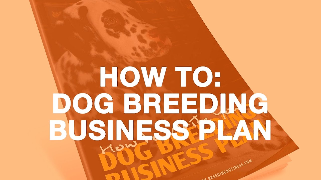 How To Start A Dog Breeding Business Dog Choices