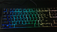 random3.gif
