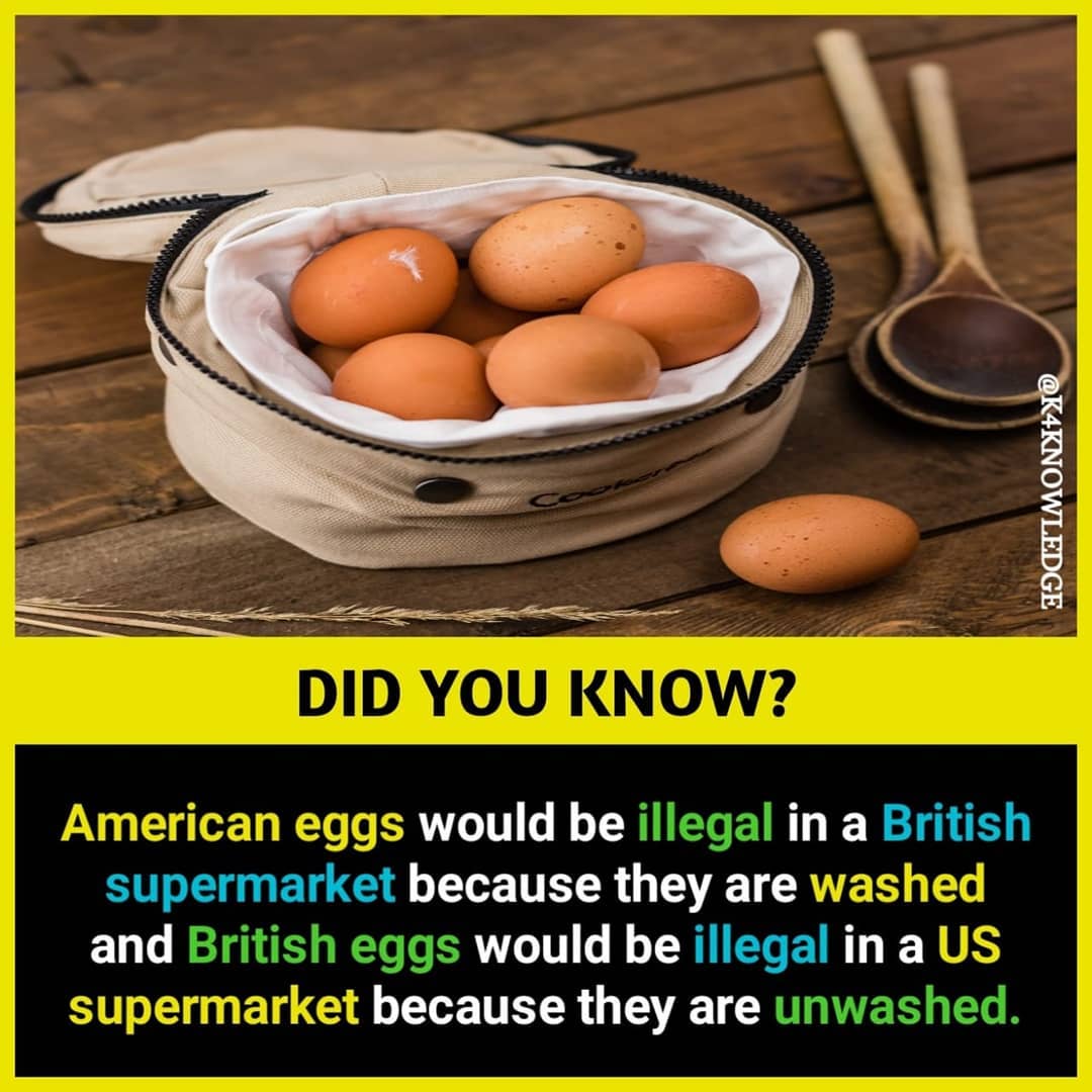 do-you-know-facts-with-images-best-amazing-facts