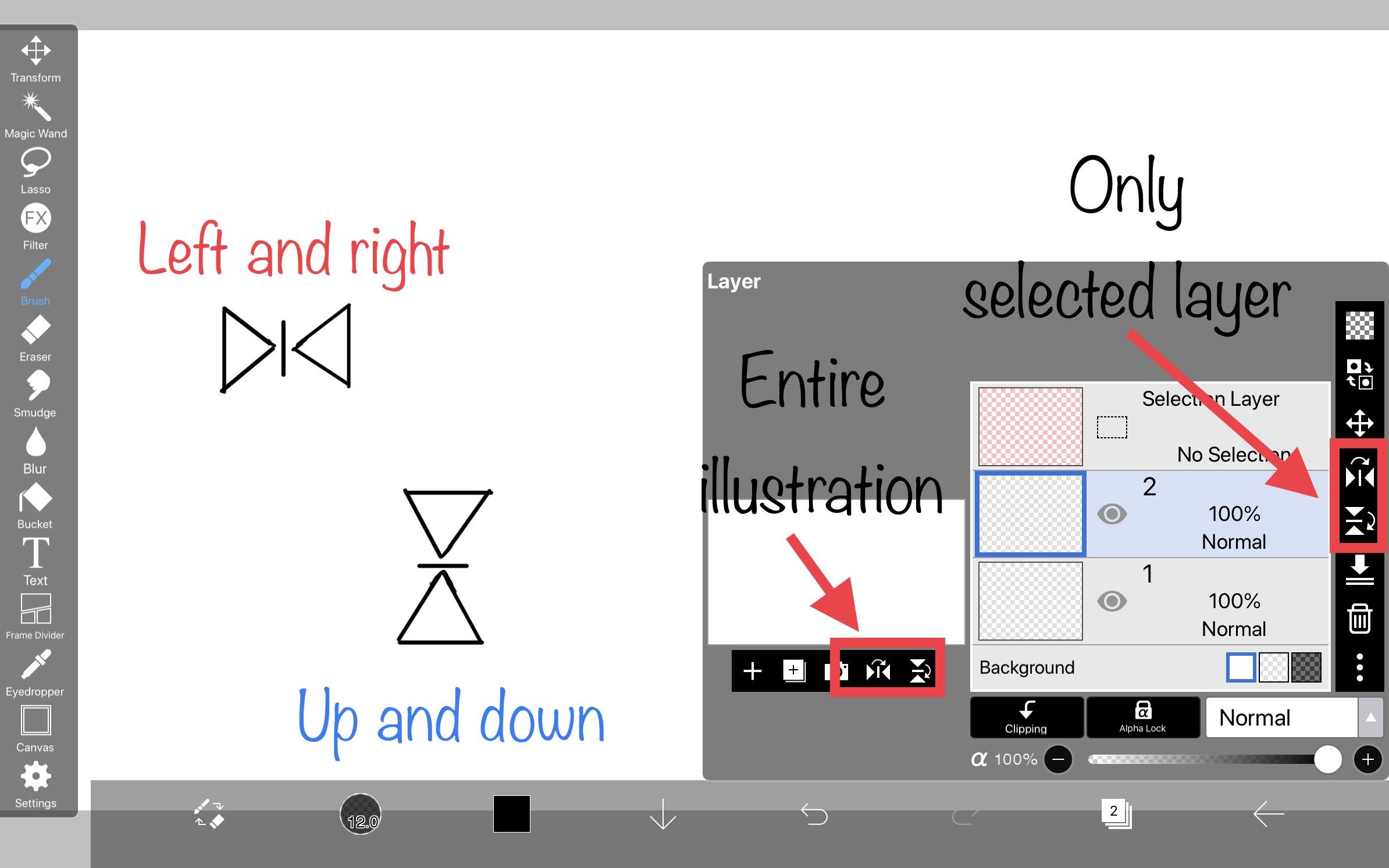 How to Draw Chibi Characters on ibisPaint X