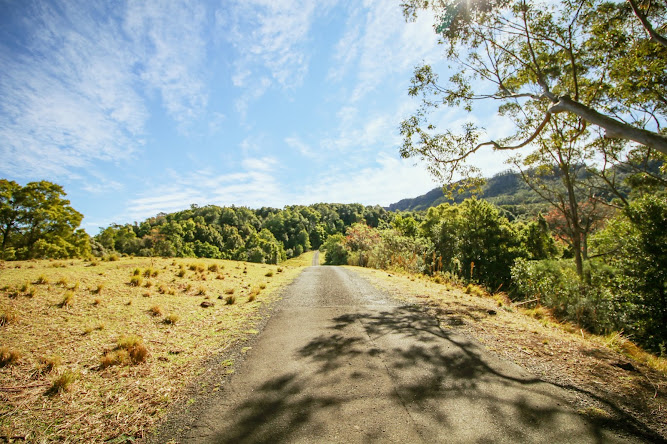 Hoddles Road Track Farmland