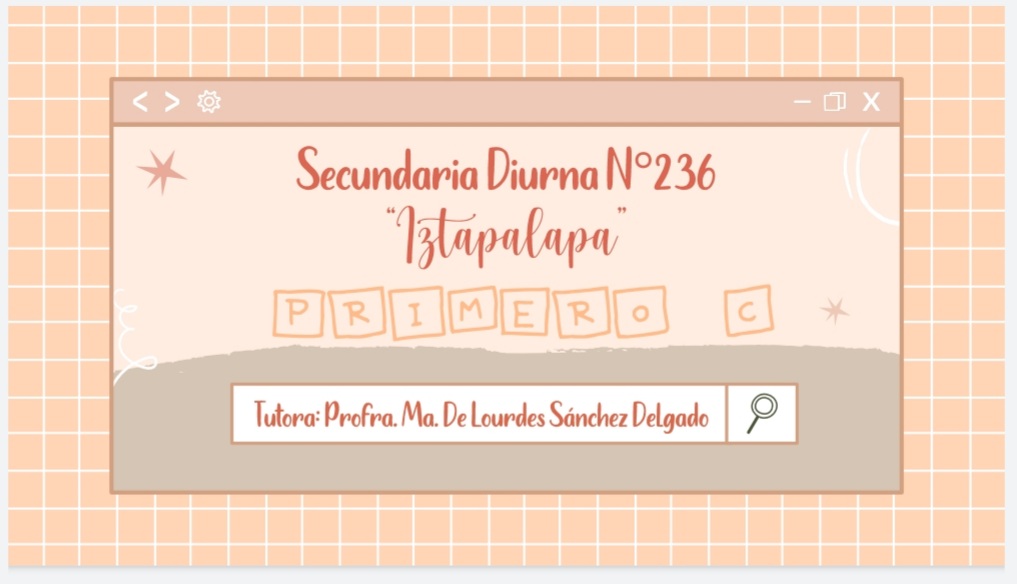 SECUNDARIA 236  SECUNDARIA 236