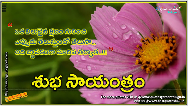 Telugu-inspirational-good-evening-quotes Telugu inspirational good evening quotes